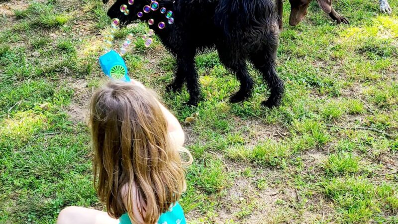 Hanson Hill Farm - Adairsville, GA