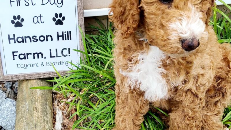 Hanson Hill Farm - Adairsville, GA