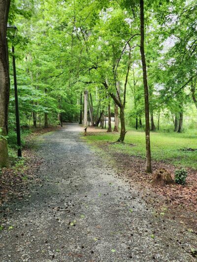 Manning Mill Park - Adairsville, GA