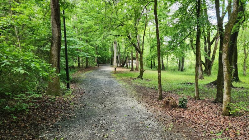 Manning Mill Park - Adairsville, GA