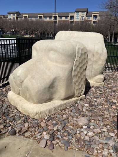 Spruill dog park - Addison, TX