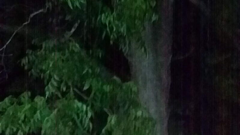 Alston Park - Ailey, GA