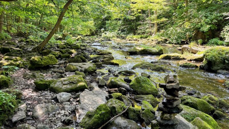 Akron Falls Park - Akron, NY