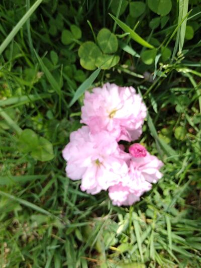 Veterans Park - Akron, NY