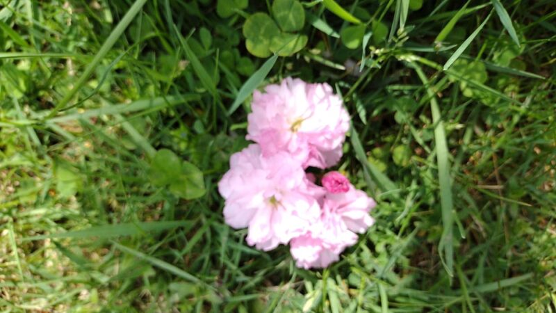 Veterans Park - Akron, NY