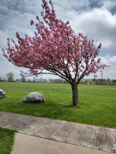 Veterans Park - Akron, NY