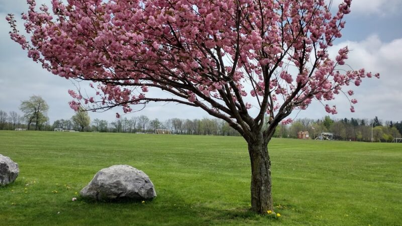 Veterans Park - Akron, NY