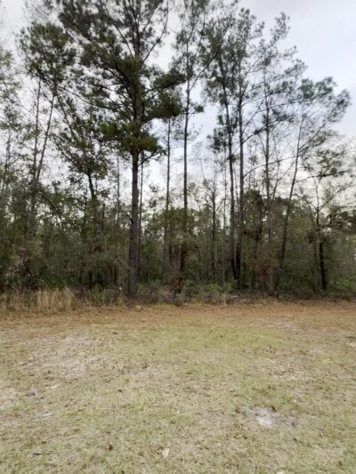 Mill Creek Preserve - Alachua, FL