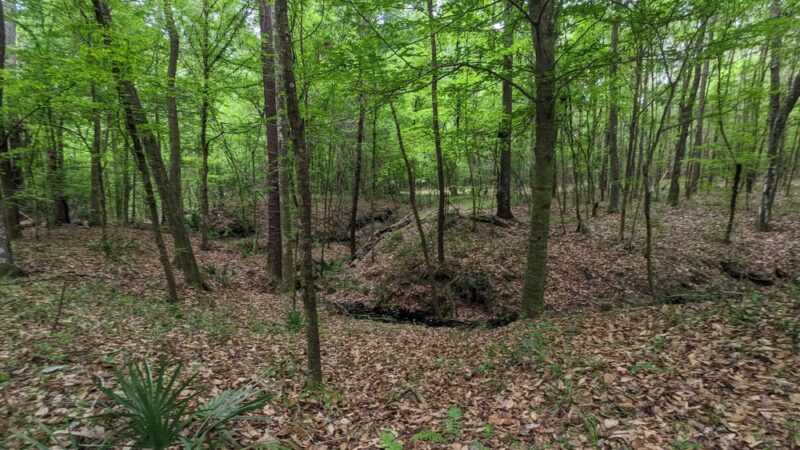 Mill Creek Preserve - Alachua, FL