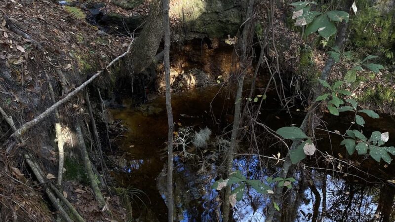 Mill Creek Preserve - Alachua, FL