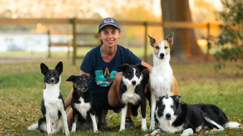 DogStar, LLC - Alachua, FL