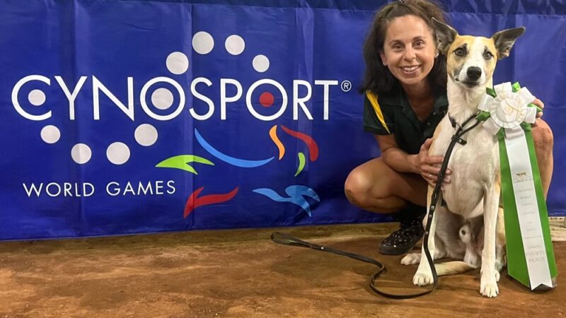 DogStar, LLC - Alachua, FL