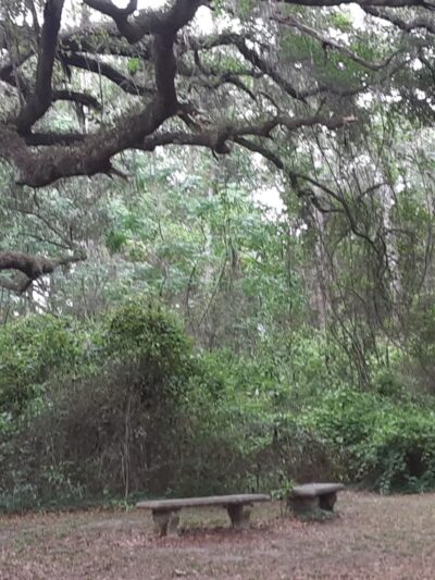 J.N. (Preacher) Copeland Park - Alachua, FL