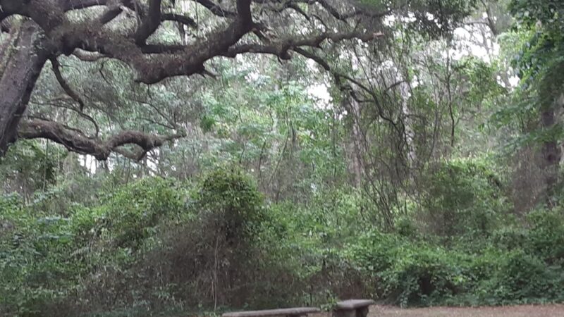 J.N. (Preacher) Copeland Park - Alachua, FL