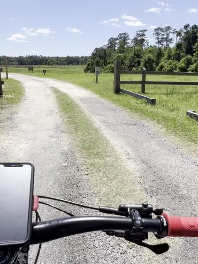 San Felasco Hammock Preserve State Park - Alachua, FL