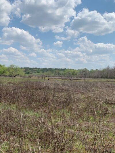 San Felasco Hammock Preserve State Park - Alachua, FL