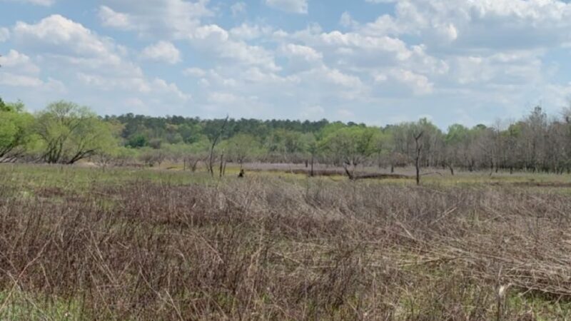 San Felasco Hammock Preserve State Park - Alachua, FL