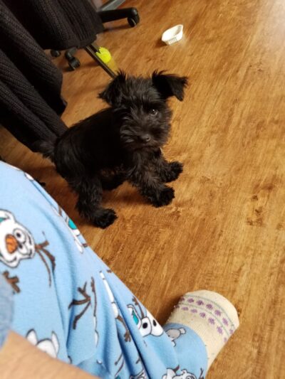 Albany Animal Clinic - Albany, KY