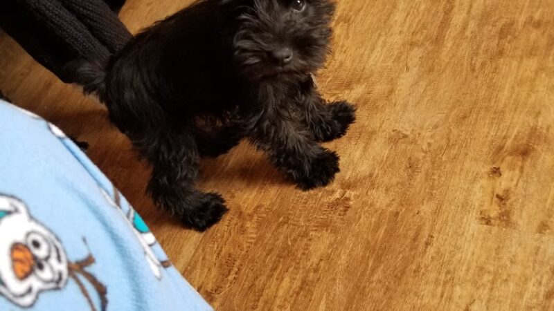 Albany Animal Clinic - Albany, KY