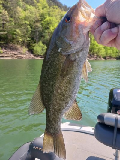 Grider Hill Marina & Resort - Albany, KY