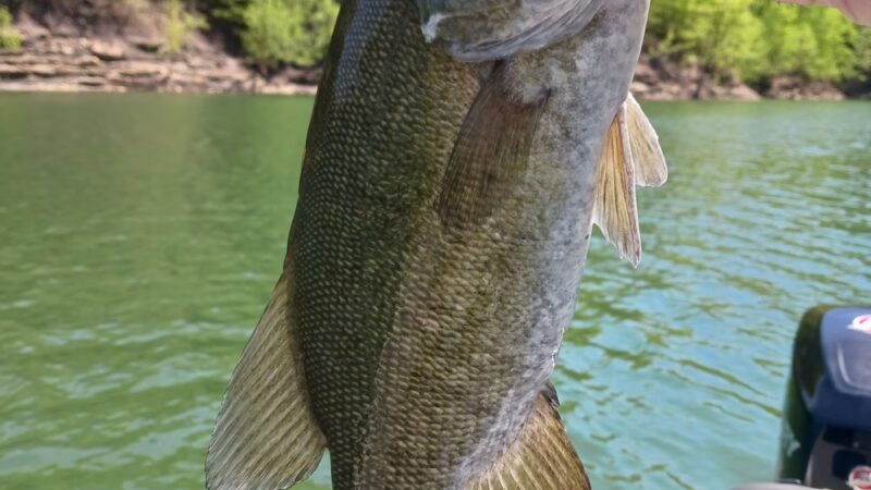 Grider Hill Marina & Resort - Albany, KY