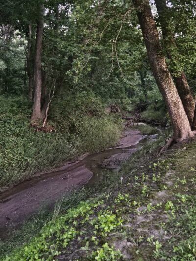 Albany Roadside Park - Albany, MO