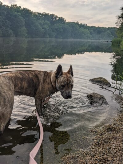 American Legion Park - Albany, WI