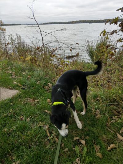 Eberhardt Park - Albert Lea, MN