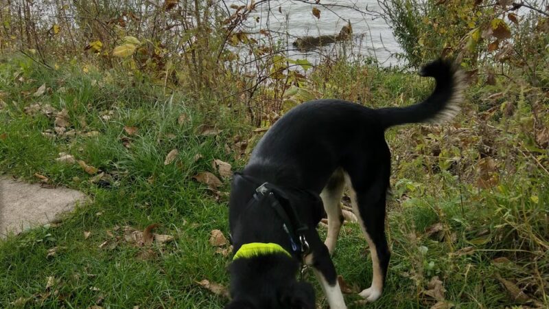 Eberhardt Park - Albert Lea, MN