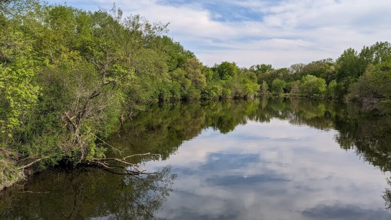 Frank Hall Park - Albert Lea, MN