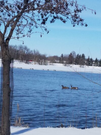 Frank Hall Park - Albert Lea, MN
