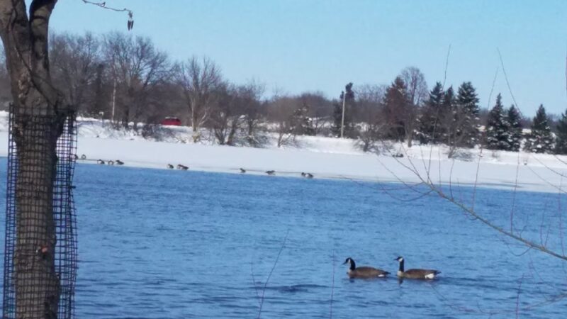 Frank Hall Park - Albert Lea, MN