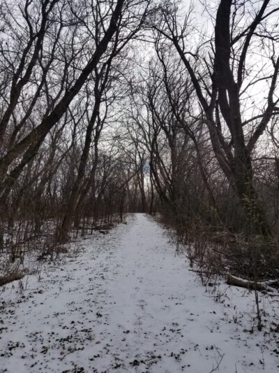 Frank Hall Park - Albert Lea, MN