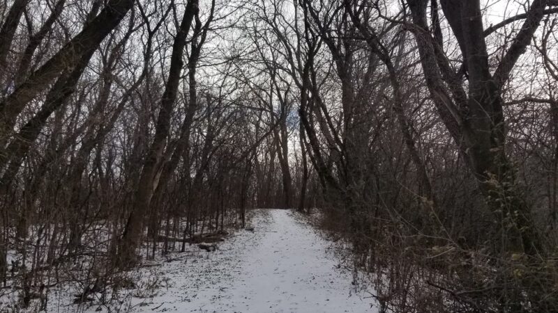 Frank Hall Park - Albert Lea, MN
