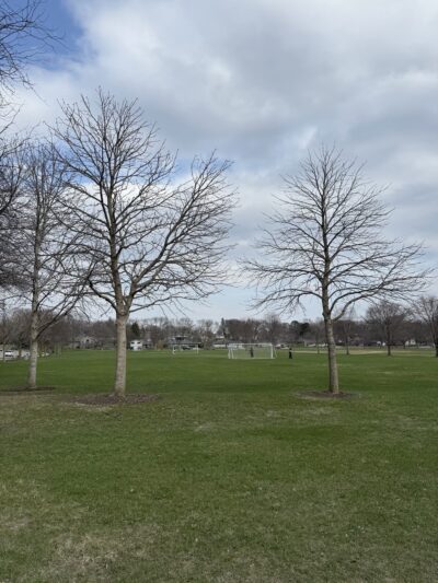 Lakeview Park - Albert Lea, MN