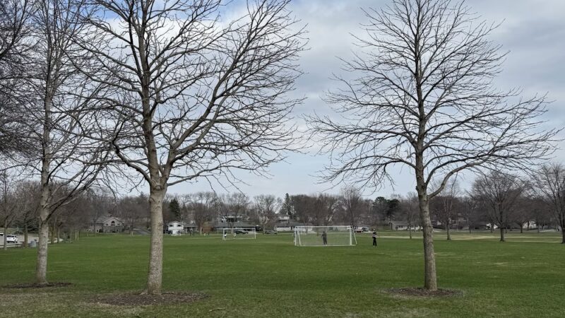 Lakeview Park - Albert Lea, MN