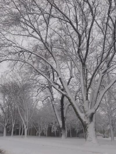 Morin Park - Albert Lea, MN