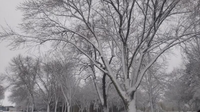 Morin Park - Albert Lea, MN