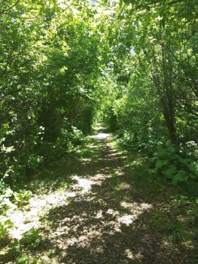 Shoff Park - Albert Lea, MN