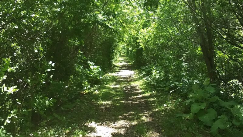 Shoff Park - Albert Lea, MN