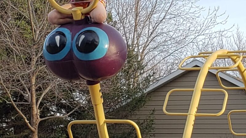 Shorewood Hills Park - Albert Lea, MN