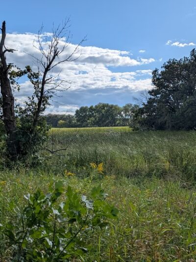 White Woods County Park - Albert Lea, MN