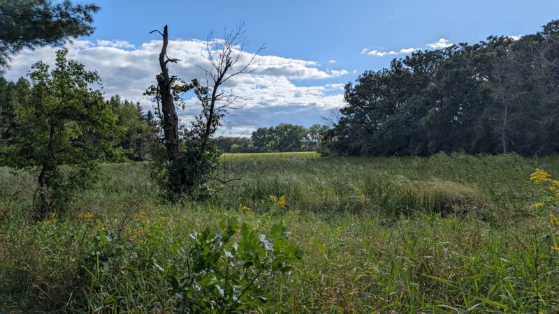 White Woods County Park - Albert Lea, MN
