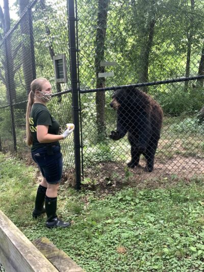 Black Pine Animal Sanctuary - Albion, IN