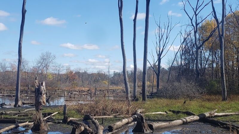 Merry Lea Environmental Learning - Albion, IN