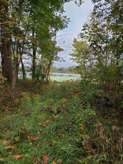 Merry Lea Environmental Learning - Albion, IN