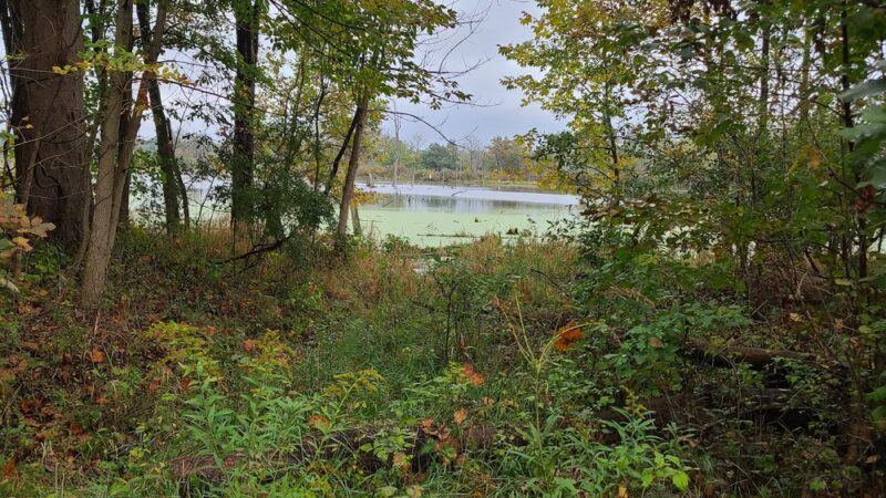 Merry Lea Environmental Learning - Albion, IN