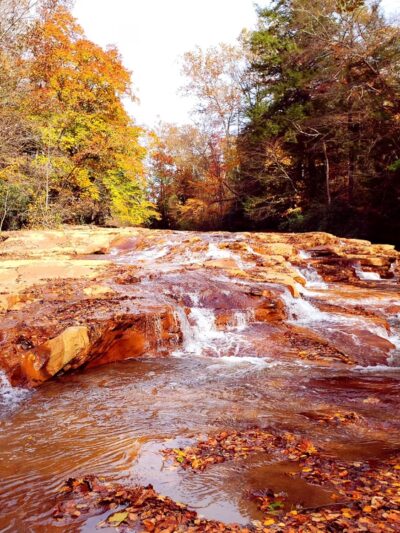 Muddy Creek Park - Albright, WV