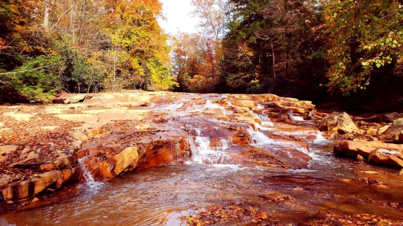 Muddy Creek Park - Albright, WV