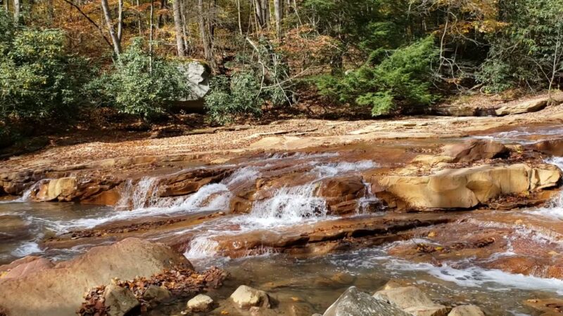 Muddy Creek Park - Albright, WV